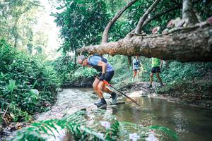 BIB: 
                            <button type="button" onclick="openModal(25437590)" class="btn btn-primary btn-sm float-right btn-popup" data-toggle="modal" data-target=".modal-high-quality">
                        <i class="fas fa-shopping-cart"></i> Add to Cart
                    </button>
                                            <button type="button" onclick="isThisMe(25437590, true)" class="btn btn-success btn-sm float-right btn-popup btn-isme hidden" data-toggle="tooltip" data-placement="bottom" title="นี่คือรูปของคุณใช่ไหม คลิกที่นี่เพื่อเอาเข้าอัลบั้ม">
                        <i class="fas fa-plus"></i> Add to album
                    </button>
                    <button type="button" onclick="isThisMe(25437590, false)" class="btn btn-warning btn-sm float-right btn-popup btn-isnotme hidden">
                        <i class="fas fa-ban"></i> Remove from album
                    </button>